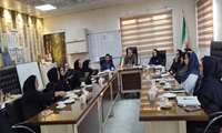 نشست مشترک مدیر پرستاری دانشگاه و واحد اقتصاد درمان با مسئولان و کادر درمان بیمارستان کوثر در رابطه با بررسی چالش‌ها و راهکارهای تعرفه‌گذاری